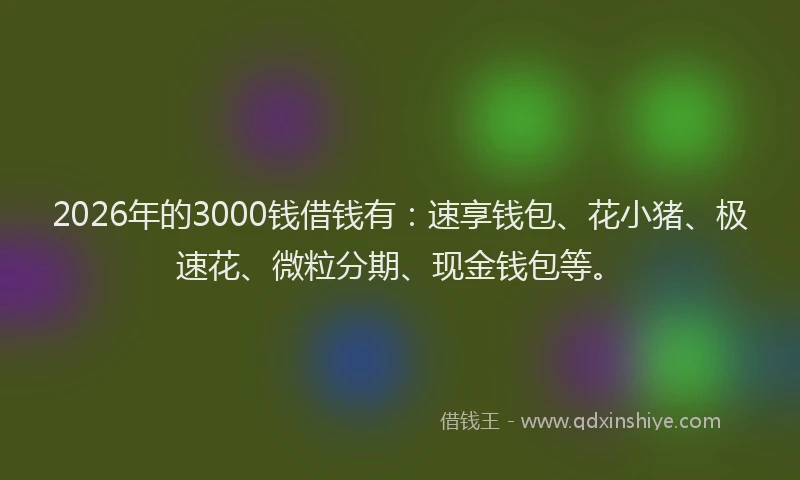 2026年的3000钱借钱有：速享钱包、花小猪、极速花、微粒分期、现金钱包等。