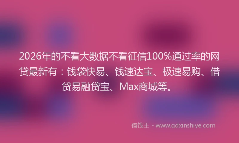 2026年的不看大数据不看征信100%通过率的网贷最新有:钱袋快易、钱速达宝、极速易购、借贷易融贷宝、Max商城等。