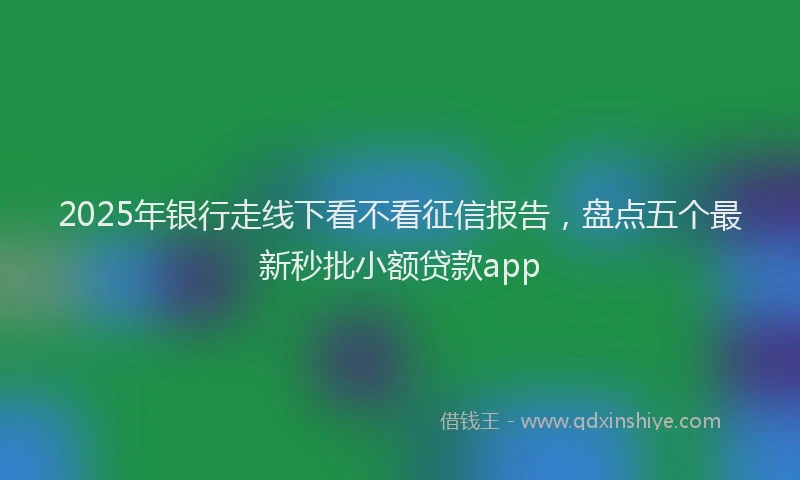2025年银行走线下看不看征信报告，盘点五个最新秒批小额贷款app