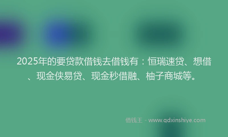 2025年的要贷款借钱去借钱有：恒瑞速贷、想借、现金侠易贷、现金秒借融、柚子商城等。