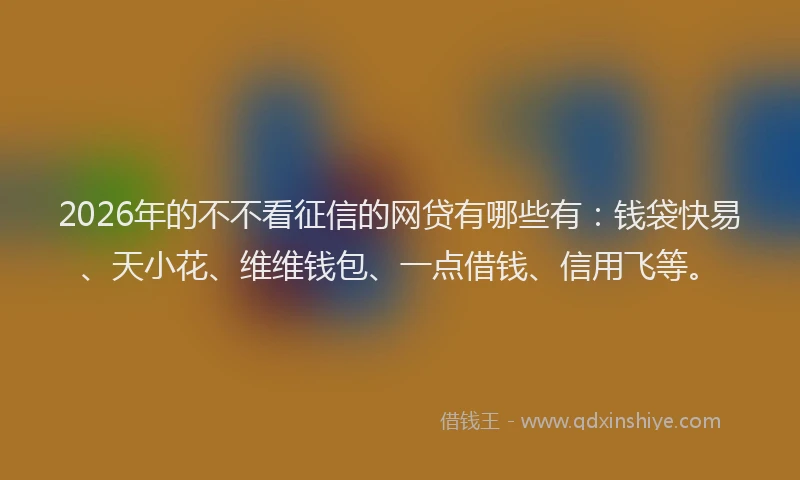 2026年的不不看征信的网贷有哪些有:钱袋快易、天小花、维维钱包、一点借钱、信用飞等。