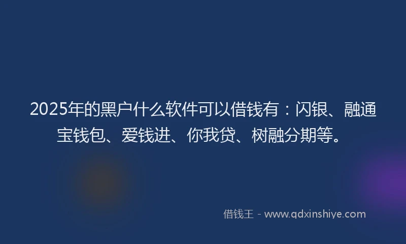 2025年的黑户什么软件可以借钱有：闪银、融通宝钱包、爱钱进、你我贷、树融分期等。