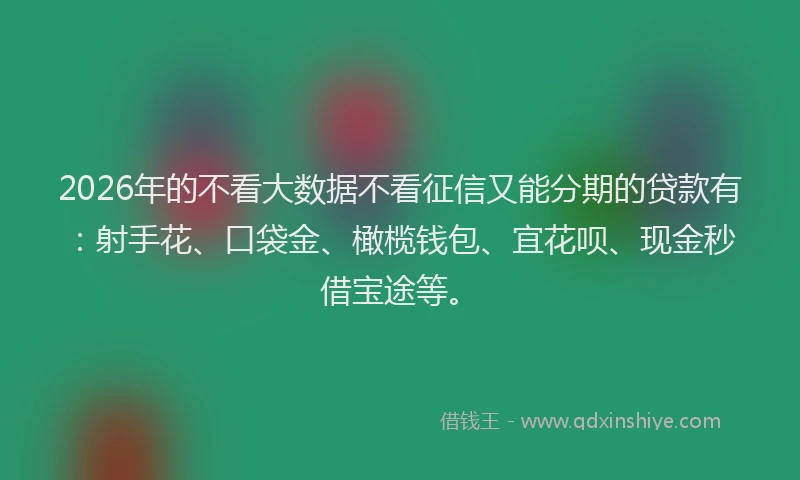 2026年的不看大数据不看征信又能分期的贷款有：射手花、口袋金、橄榄钱包、宜花呗、现金秒借宝途等。