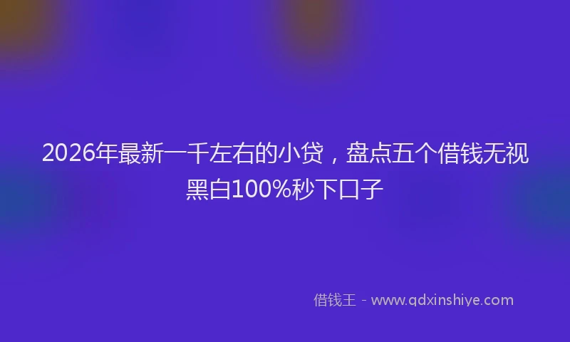 2026年最新一千左右的小贷，盘点五个借钱无视黑白100%秒下口子