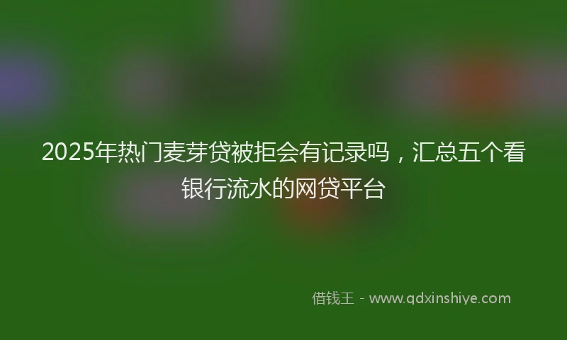 2025年热门麦芽贷被拒会有记录吗，汇总五个看银行流水的网贷平台