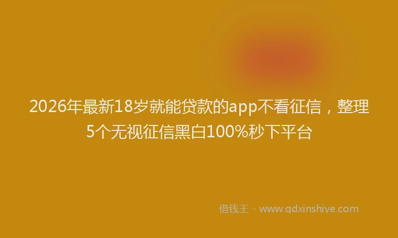 2026年最新18岁就能贷款的app不看征信，整理5个无视征信黑白100%秒下平台