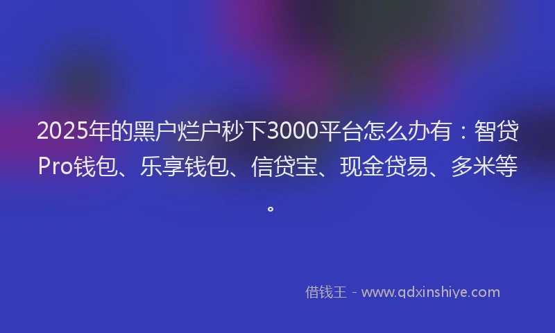 2025年的黑户烂户秒下3000平台怎么办有:智贷Pro钱包、乐享钱包、信贷宝、现金贷易、多米等。