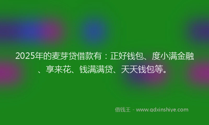 2025年的麦芽贷借款有:正好钱包、度小满金融、享来花、钱满满贷、天天钱包等。