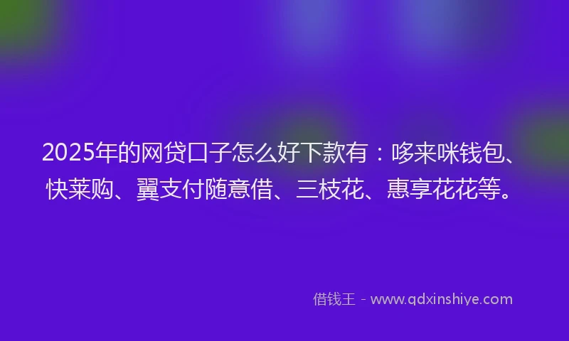 2025年的网贷口子怎么好下款有：哆来咪钱包、快莱购、翼支付随意借、三枝花、惠享花花等。