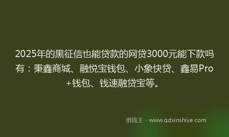2025年的黑征信也能贷款的网贷3000元能下款吗有：秉鑫商城、融悦宝钱包、小象快贷、鑫易Pro+钱包、钱速融贷宝等。