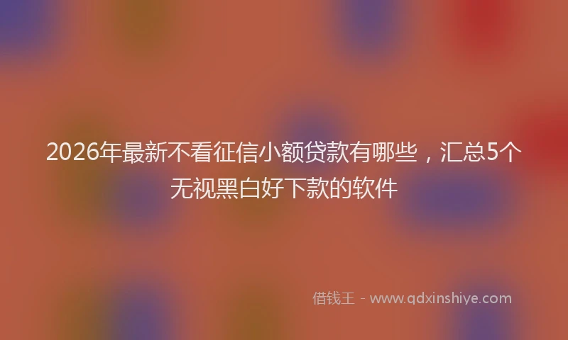 2026年最新不看征信小额贷款有哪些，汇总5个无视黑白好下款的软件
