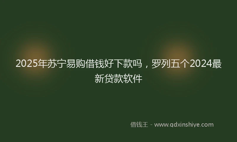 2025年苏宁易购借钱好下款吗，罗列五个2024最新贷款软件