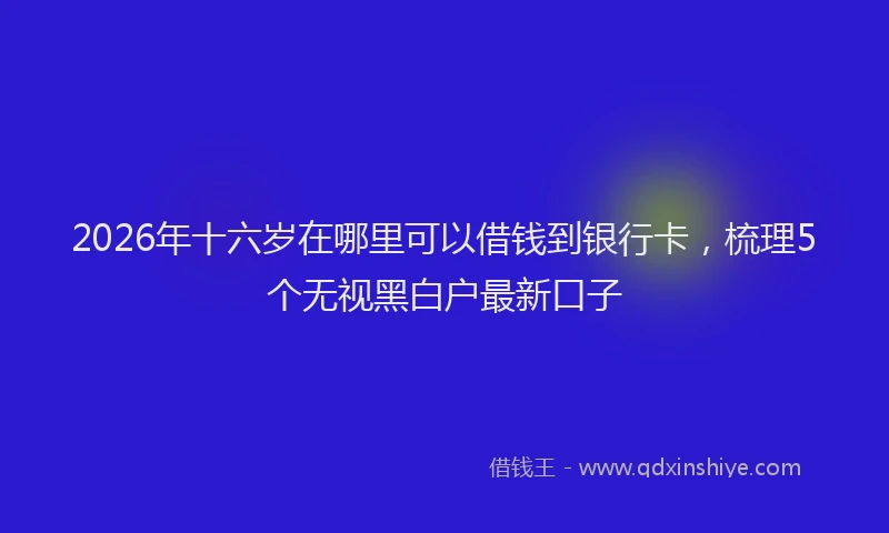 2026年十六岁在哪里可以借钱到银行卡，梳理5个无视黑白户最新口子
