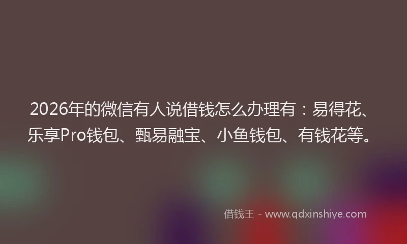 2026年的微信有人说借钱怎么办理有：易得花、乐享Pro钱包、甄易融宝、小鱼钱包、有钱花等。