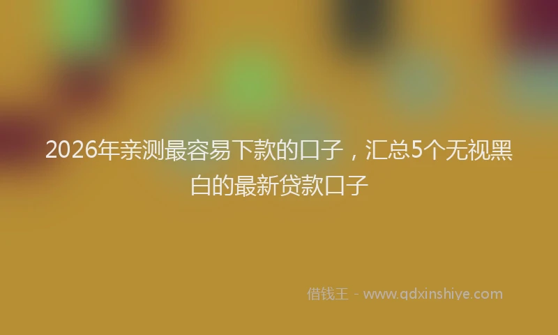 2026年亲测最容易下款的口子,汇总5个无视黑白的最新贷款口子