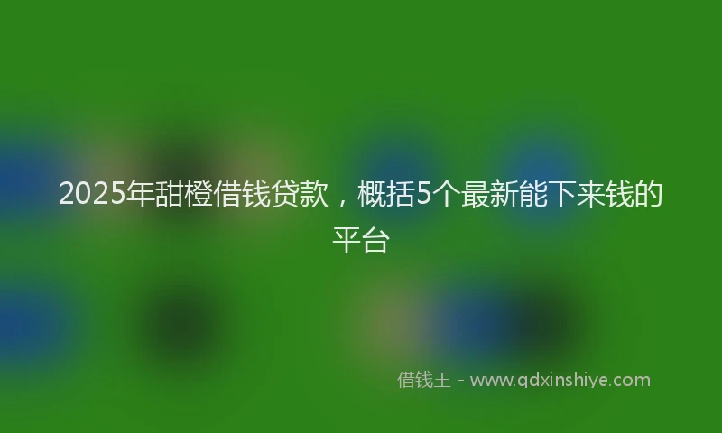 2025年甜橙借钱贷款，概括5个最新能下来钱的平台