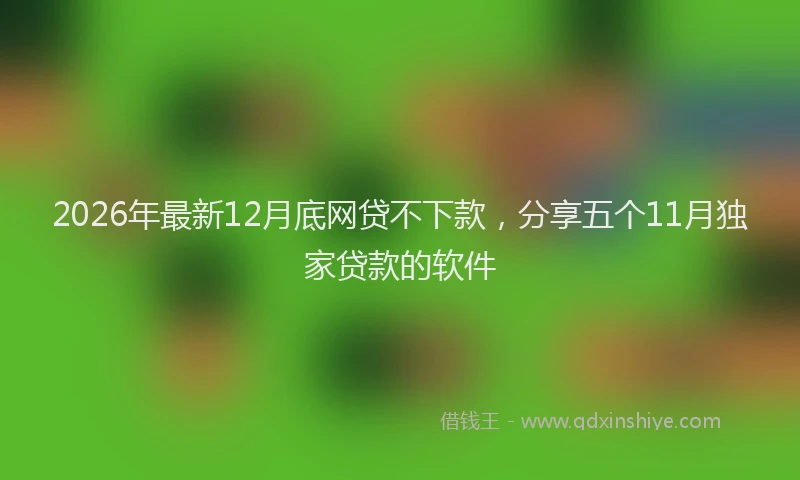 2026年最新12月底网贷不下款，分享五个11月独家贷款的软件