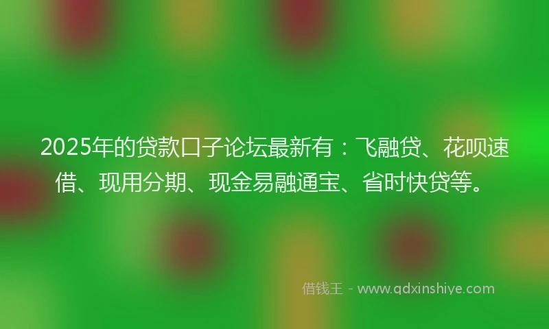 2025年的贷款口子论坛最新有：飞融贷、花呗速借、现用分期、现金易融通宝、省时快贷等。