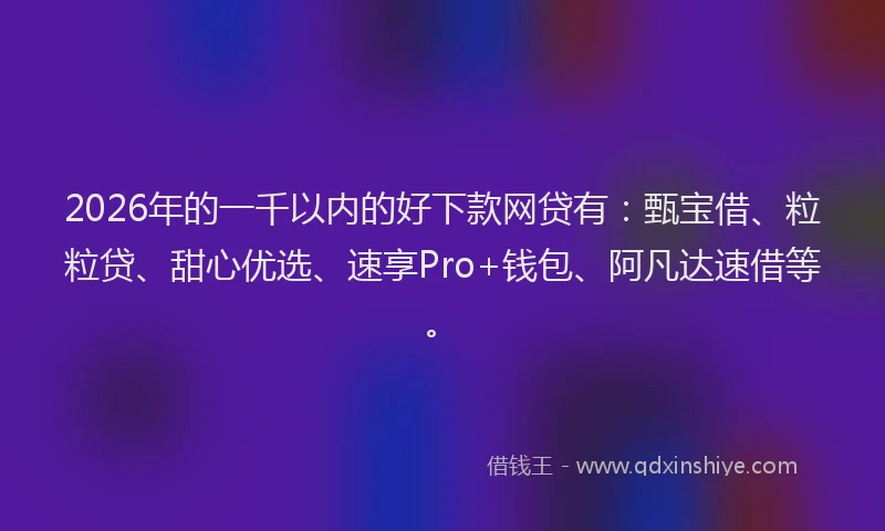 2026年的一千以内的好下款网贷有：甄宝借、粒粒贷、甜心优选、速享Pro+钱包、阿凡达速借等。
