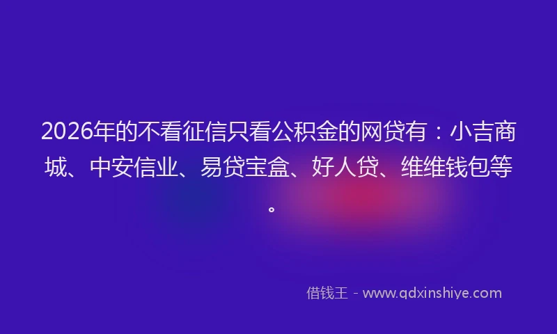 2026年的不看征信只看公积金的网贷有：小吉商城、中安信业、易贷宝盒、好人贷、维维钱包等。