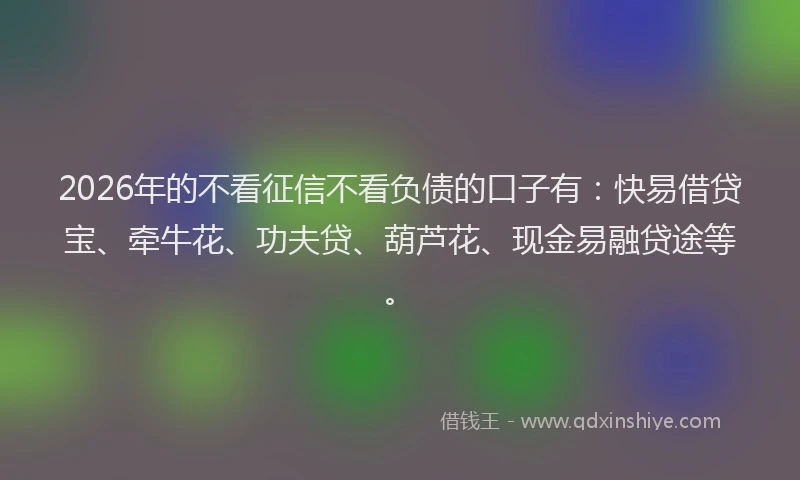 2026年的不看征信不看负债的口子有:快易借贷宝、牵牛花、功夫贷、葫芦花、现金易融贷途等。