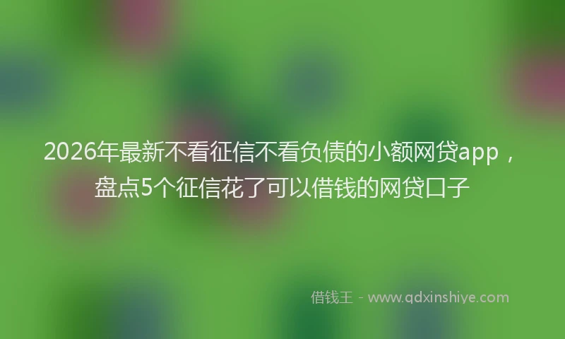 2026年最新不看征信不看负债的小额网贷app,盘点5个征信花了可以借钱的网贷口子