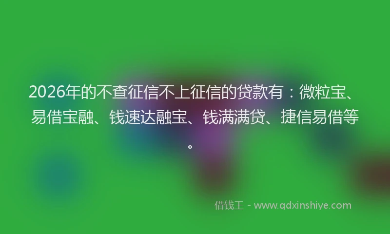 2026年的不查征信不上征信的贷款有:微粒宝、易借宝融、钱速达融宝、钱满满贷、捷信易借等。