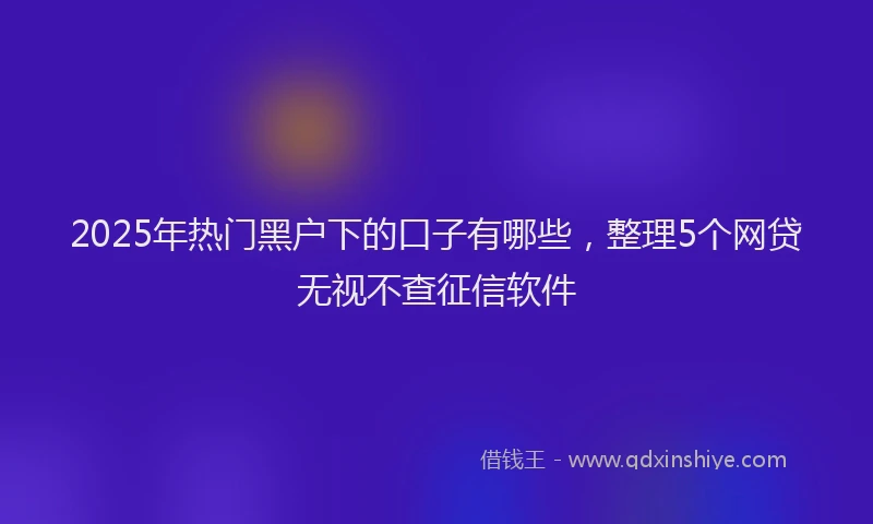 2025年热门黑户下的口子有哪些，整理5个网贷无视不查征信软件