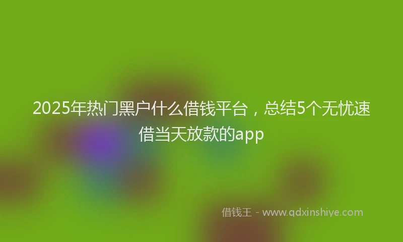 2025年热门黑户什么借钱平台，总结5个无忧速借当天放款的app