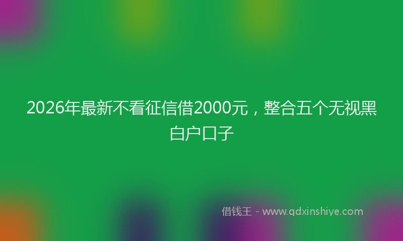 2026年最新不看征信借2000元，整合五个无视黑白户口子