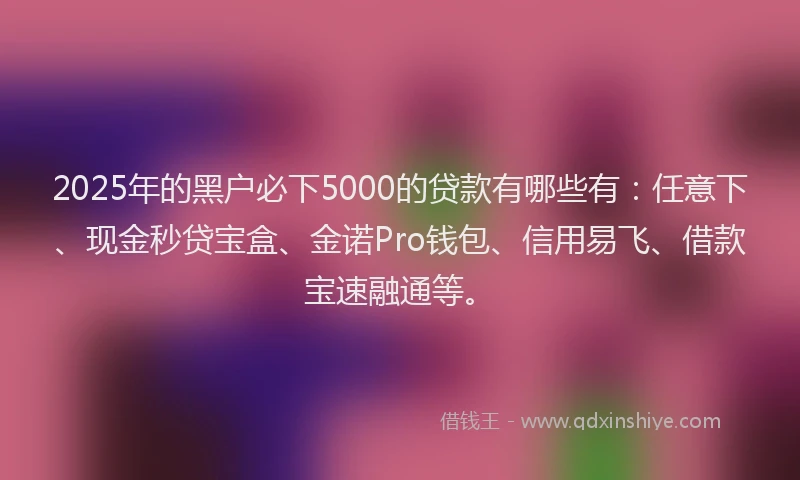 2025年的黑户必下5000的贷款有哪些有：任意下、现金秒贷宝盒、金诺Pro钱包、信用易飞、借款宝速融通等。