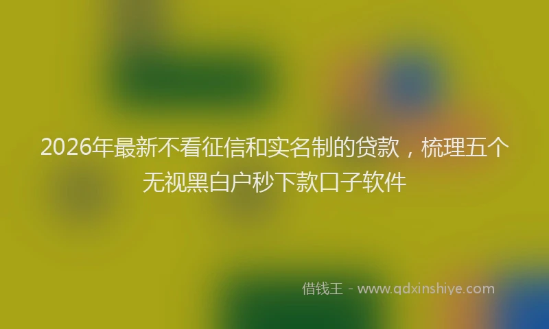 2026年最新不看征信和实名制的贷款,梳理五个无视黑白户秒下款口子软件