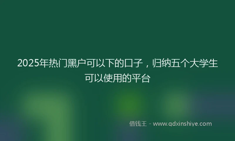 2025年热门黑户可以下的口子，归纳五个大学生可以使用的平台