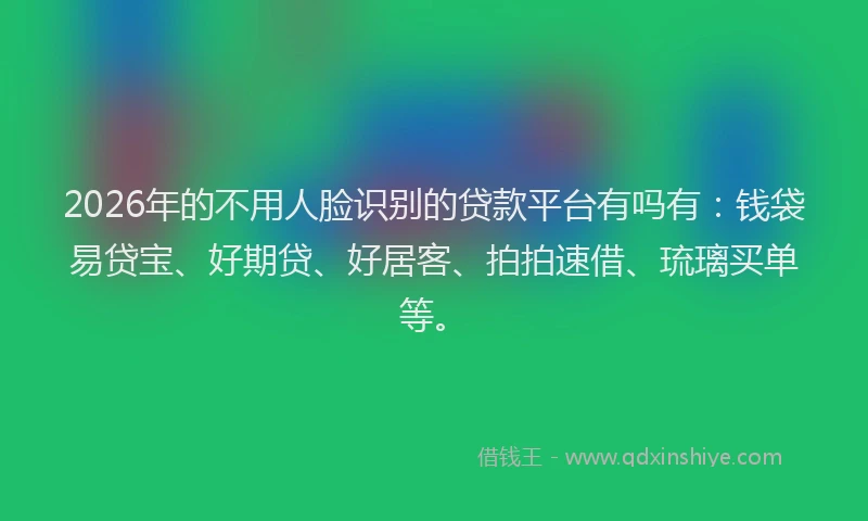 2026年的不用人脸识别的贷款平台有吗有:钱袋易贷宝、好期贷、好居客、拍拍速借、琉璃买单等。