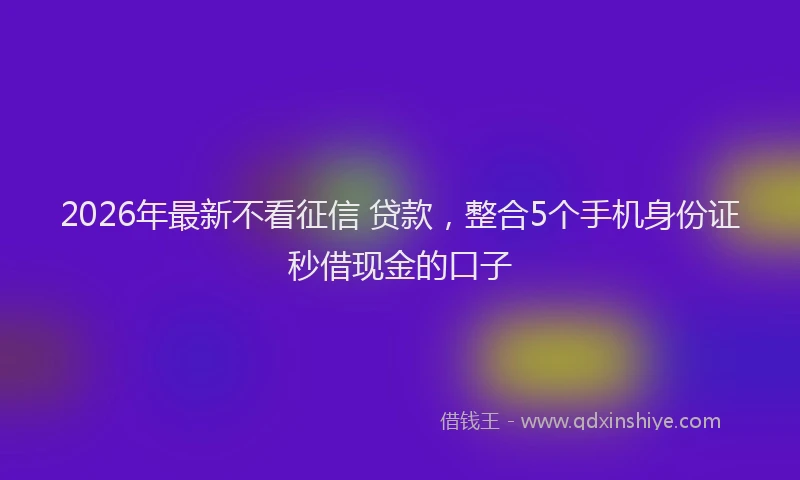 2026年最新不看征信 贷款，整合5个手机身份证秒借现金的口子