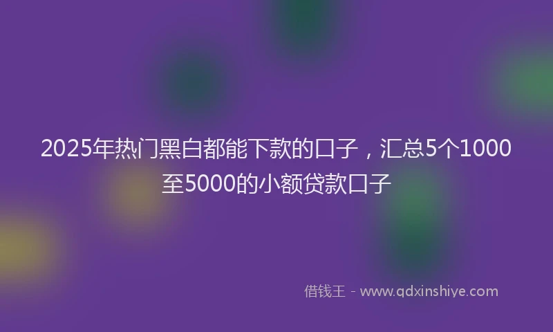 2025年热门黑白都能下款的口子，汇总5个1000至5000的小额贷款口子