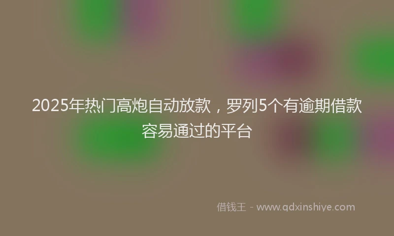 2025年热门高炮自动放款，罗列5个有逾期借款容易通过的平台
