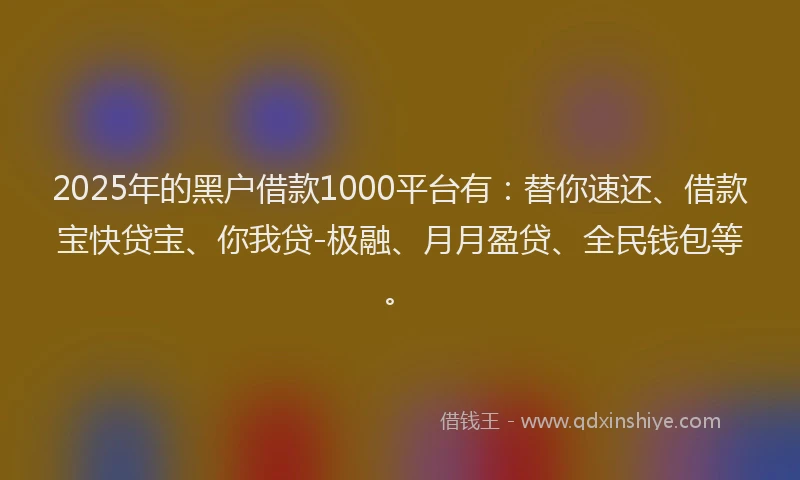 2025年的黑户借款1000平台有：替你速还、借款宝快贷宝、你我贷-极融、月月盈贷、全民钱包等。