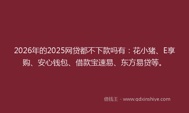 2026年的2025网贷都不下款吗有：花小猪、E享购、安心钱包、借款宝速易、东方易贷等。