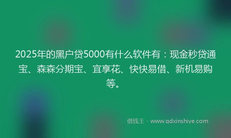 2025年的黑户贷5000有什么软件有：现金秒贷通宝、森森分期宝、宜享花、快快易借、新机易购等。