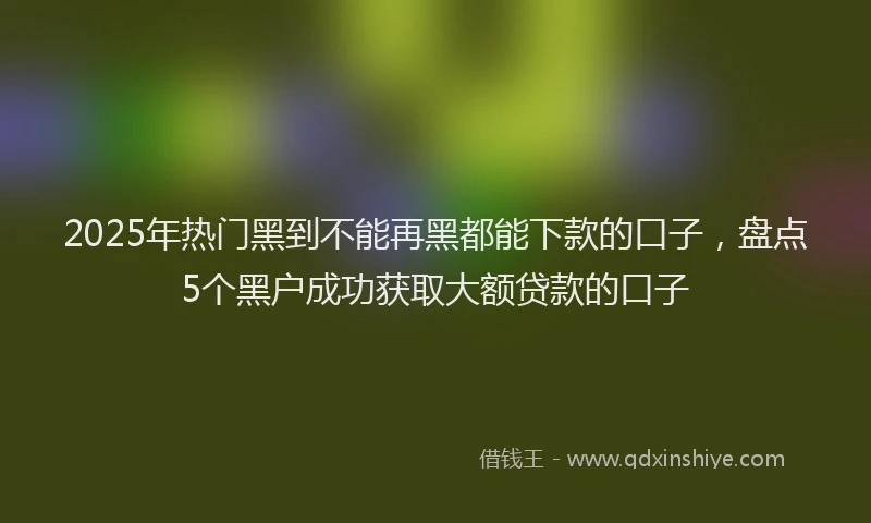 2025年热门黑到不能再黑都能下款的口子，盘点5个黑户成功获取大额贷款的口子
