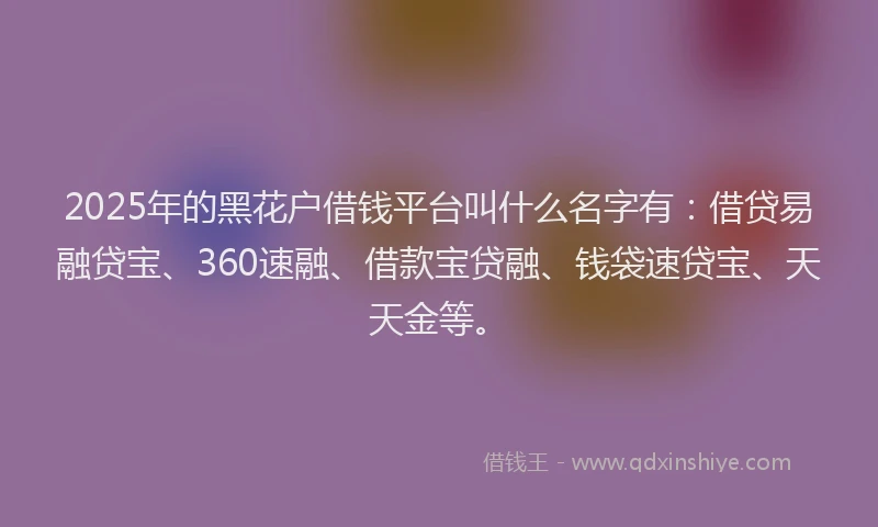 2025年的黑花户借钱平台叫什么名字有：借贷易融贷宝、360速融、借款宝贷融、钱袋速贷宝、天天金等。
