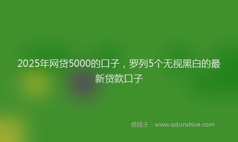 2025年网贷5000的口子,罗列5个无视黑白的最新贷款口子