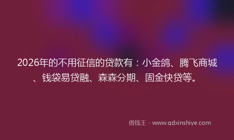 2026年的不用征信的贷款有：小金鸽、腾飞商城、钱袋易贷融、森森分期、固金快贷等。