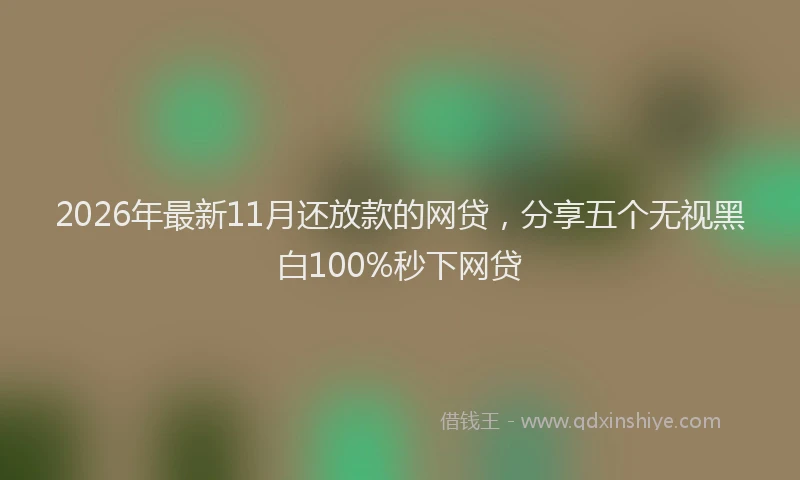 2026年最新11月还放款的网贷，分享五个无视黑白100%秒下网贷