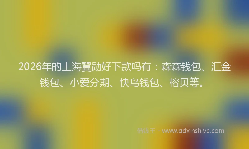 2026年的上海翼勋好下款吗有：森森钱包、汇金钱包、小爱分期、快鸟钱包、榕贝等。