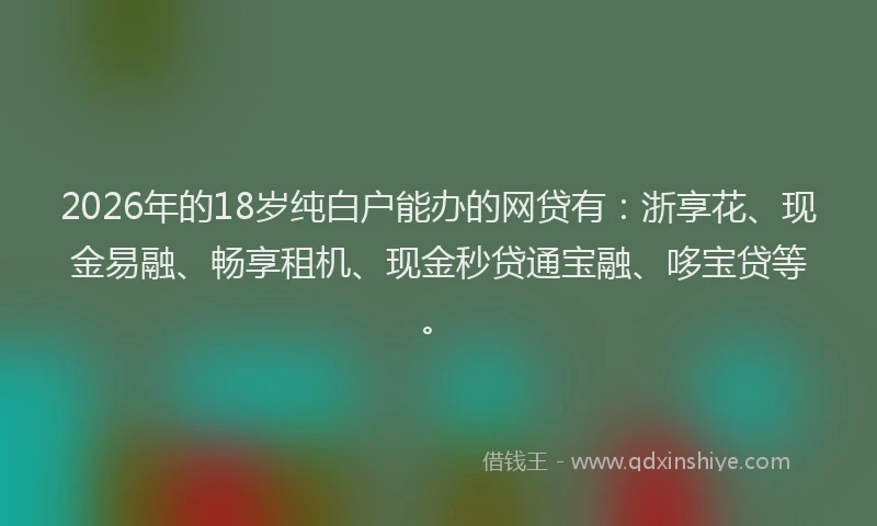 2026年的18岁纯白户能办的网贷有：浙享花、现金易融、畅享租机、现金秒贷通宝融、哆宝贷等。