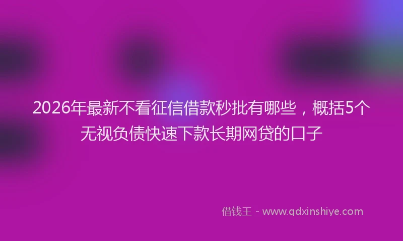 2026年最新不看征信借款秒批有哪些，概括5个无视负债快速下款长期网贷的口子