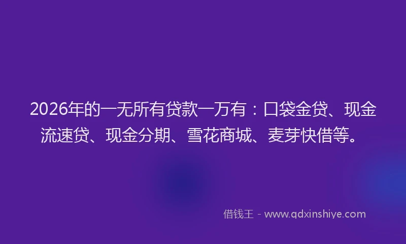 2026年的一无所有贷款一万有:口袋金贷、现金流速贷、现金分期、雪花商城、麦芽快借等。