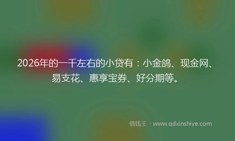 2026年的一千左右的小贷有:小金鸽、现金网、易支花、惠享宝券、好分期等。
